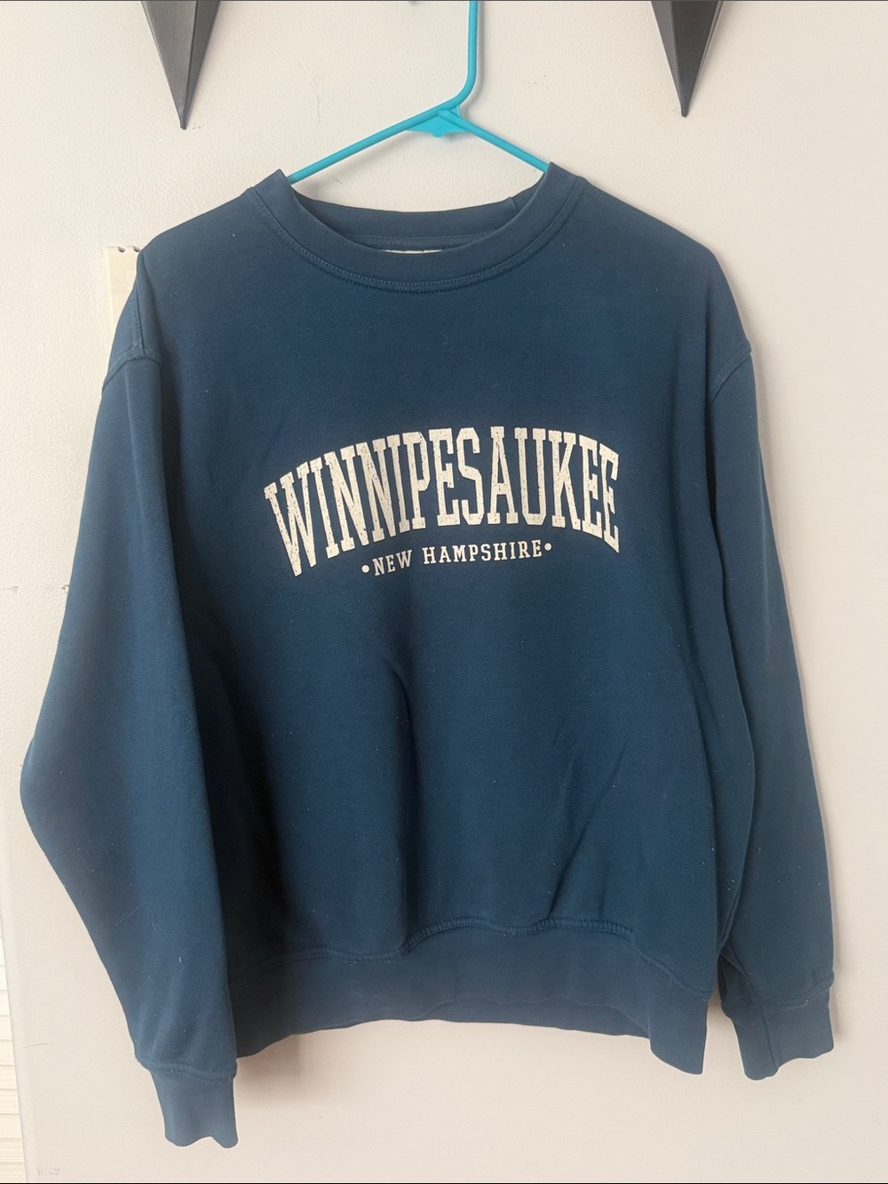 Wild Palms Teal Lake Winnipesaukee Crewneck sweatshirt